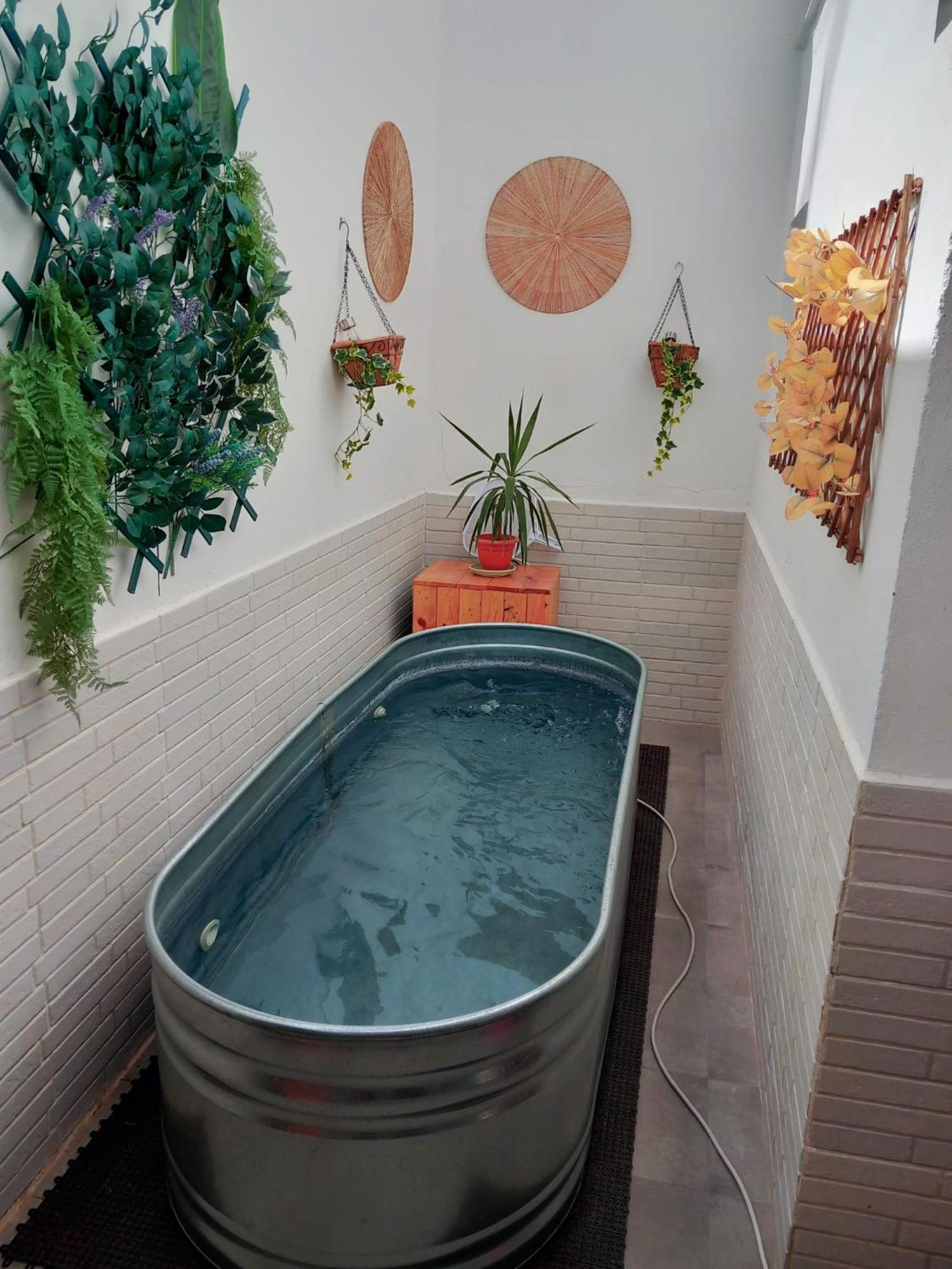 Apartamentos De La Haya & Suite Con Jacuzzi, Junto Al Teatro Romano Merida Exterior photo